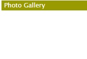Gallery 2